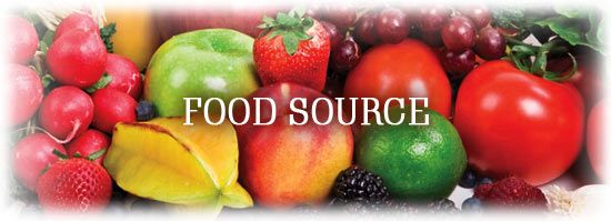 Food source